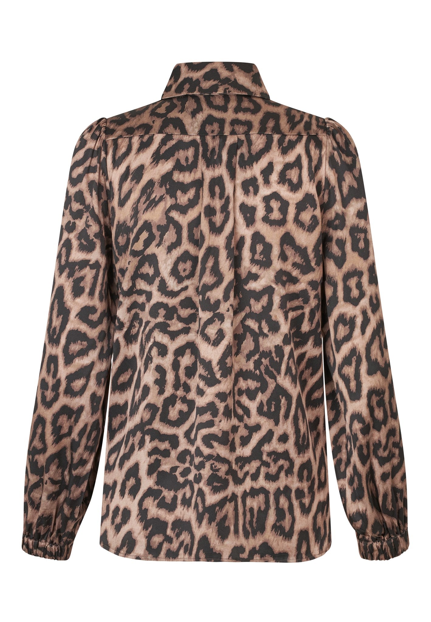 1380725 5888 Highres A